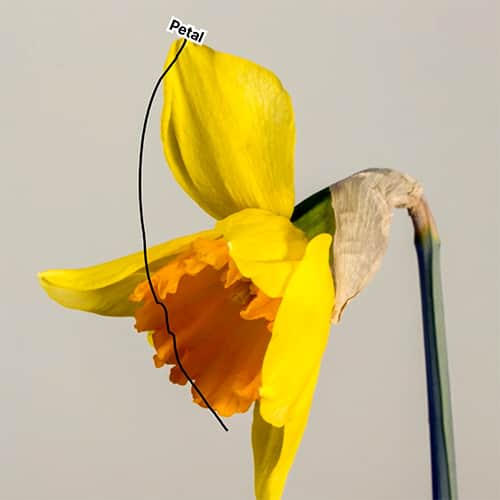 ​​After Effects Motion Tracking Data