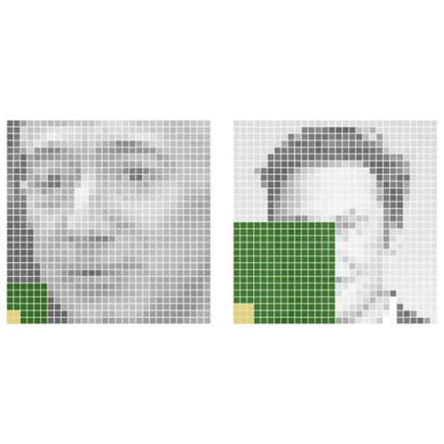 Face Charts with Plot