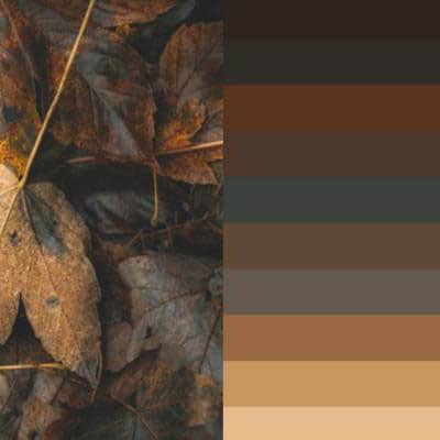 WASM-ImageMagick Extract Color Palette From Image